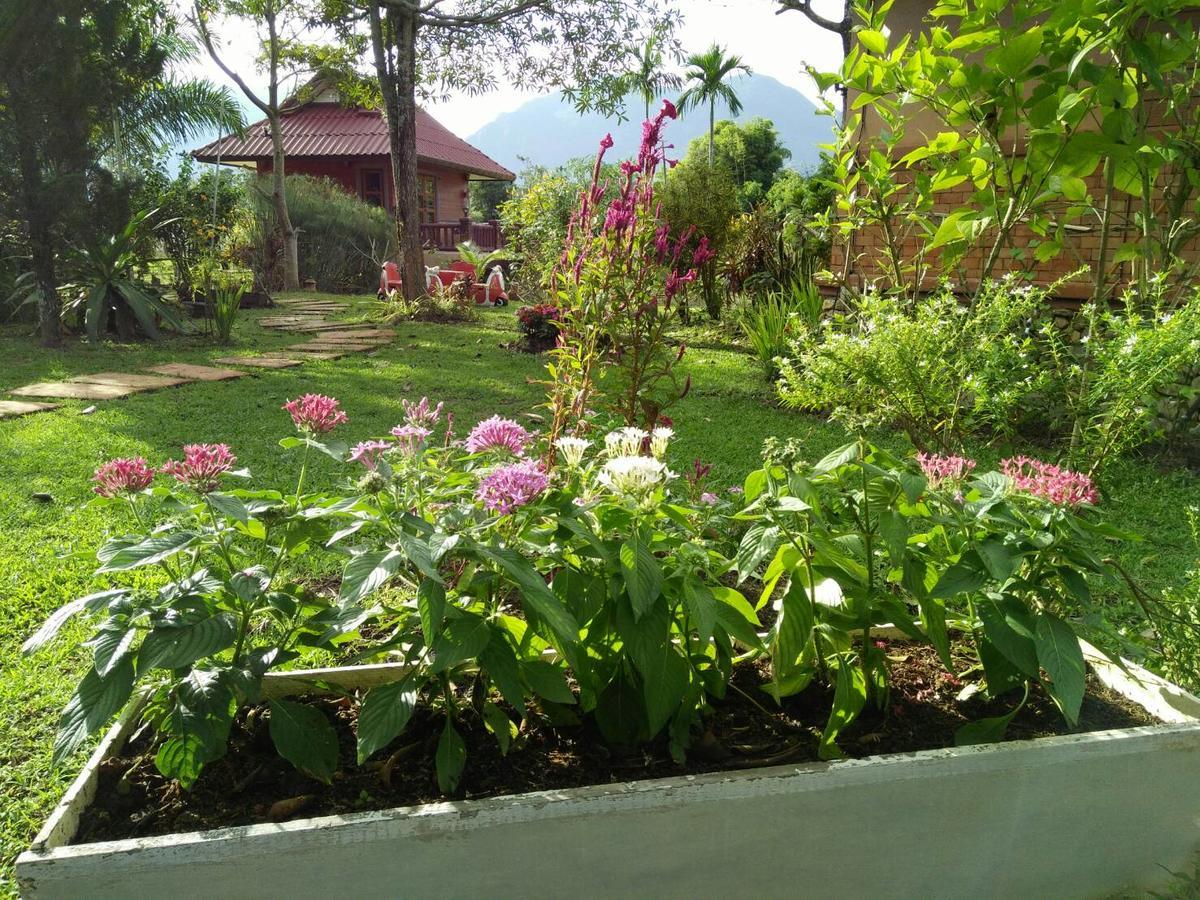 Ban Dong Ma Tun Maesai Doi View 빌라 외부 사진